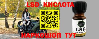 шишки Краснознаменск