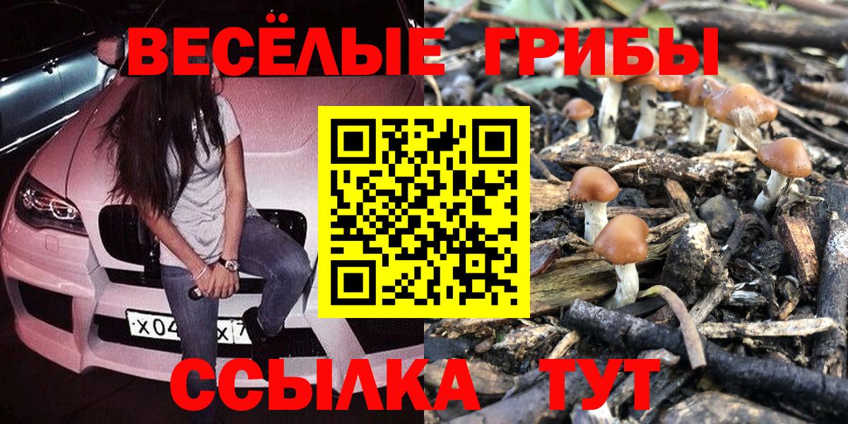 Псилоцибиновые грибы MAGIC MUSHROOMS  Псилоцибиновые грибы ЛСД  Вход с VPN  Коряжма 